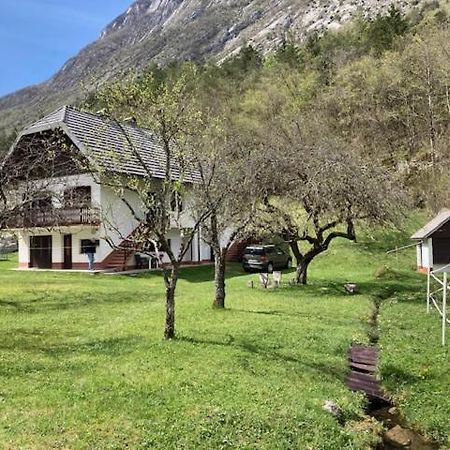 Apartamento Roja House Soča Exterior foto